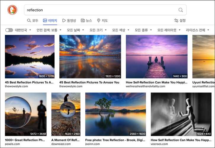 리플렉션 이미지 검색